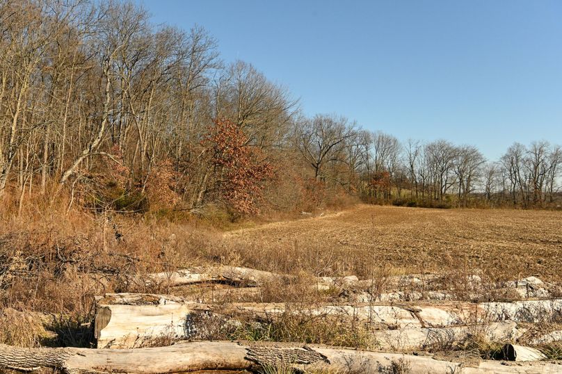 vandalia 450 (2)-676
