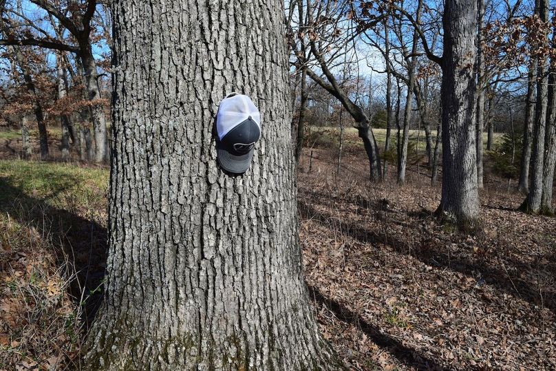 DSC_0271_inPixio (2)