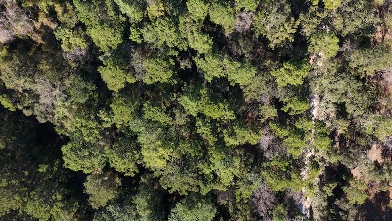 DJI_20251016161327_0010_D