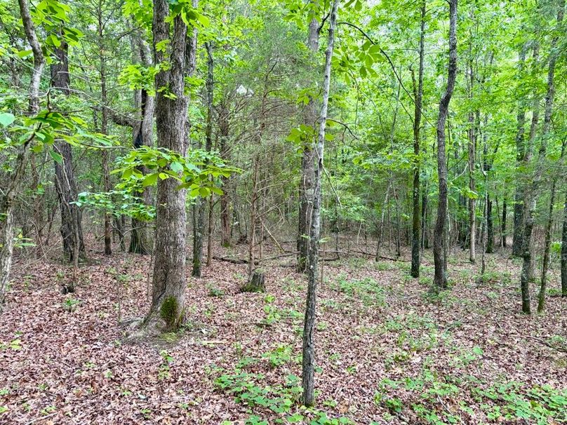 6F254F68-4101-4E88-9A1D-6991C48D511B_1_201_a