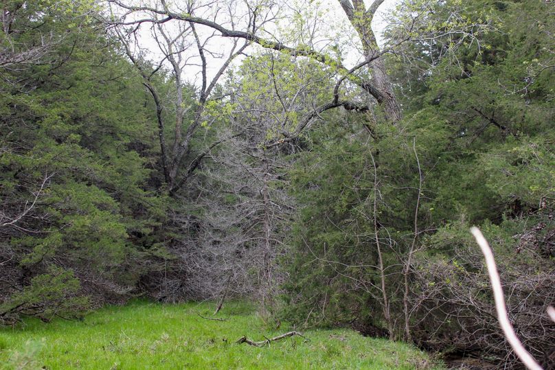 Washington, Co, 83.3_030