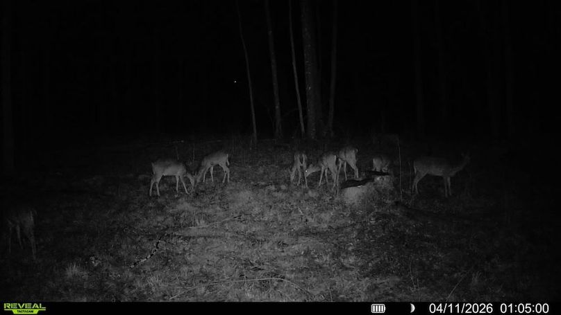 016579000369145-85-4-04112026010500-SYFW01738