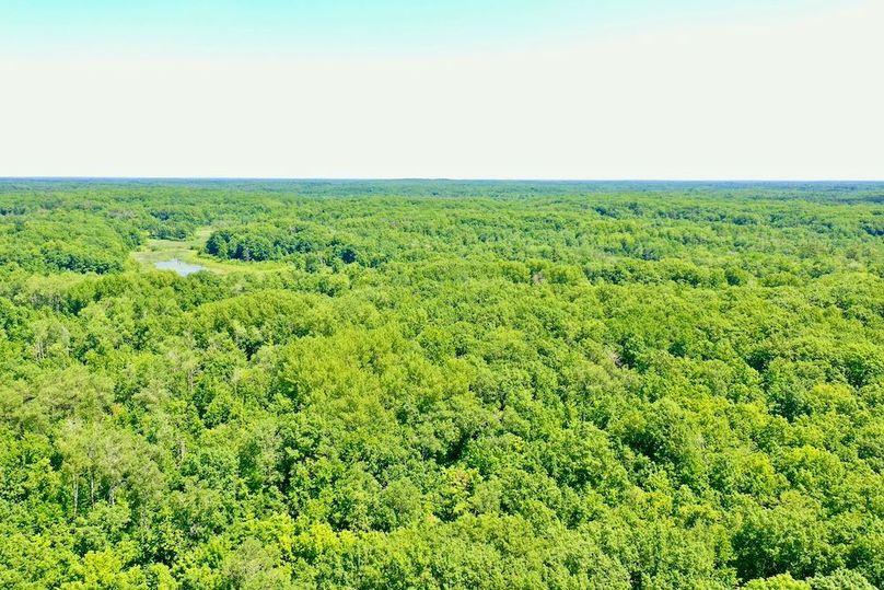 DJI_0009