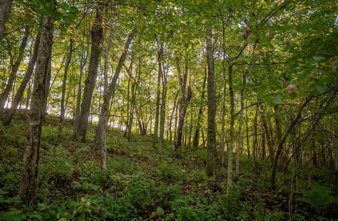 Copy of Winona MN 138 Featured_Pro Photo-19