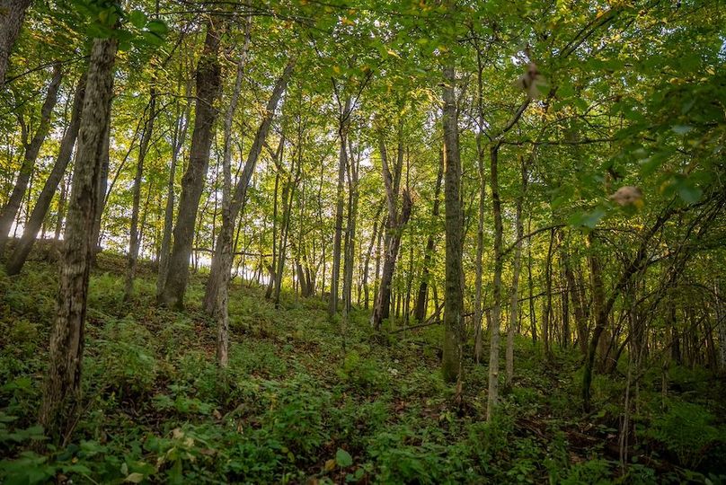 Copy of Winona MN 138 Featured_Pro Photo-19