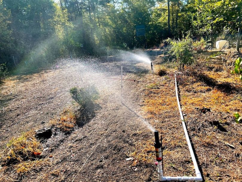 Sprinkler system watering foodplot