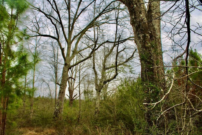 A1F5BD1F-F4D7-41E8-9EE9-005060828B18_1_105_c