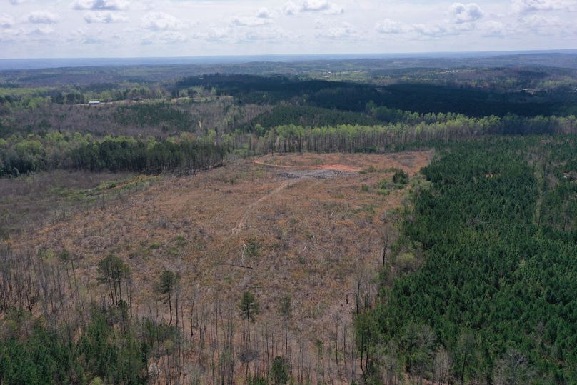 Copy of 400ft Cardinal-6