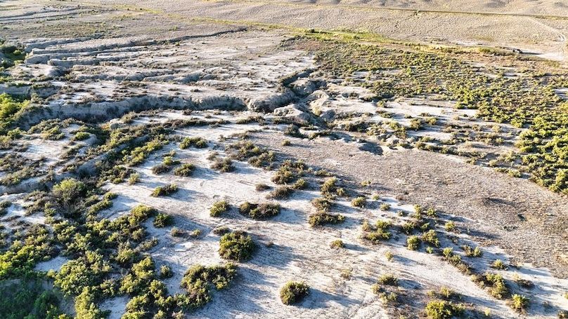 DJI_20240810072451_0146_D