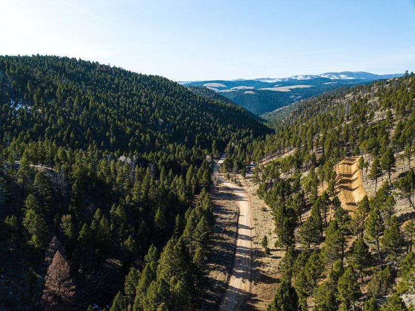 20250410-DJI_0019
