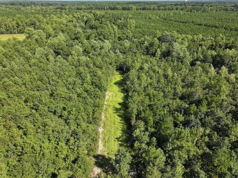 DJI_20240820164110_0019_D