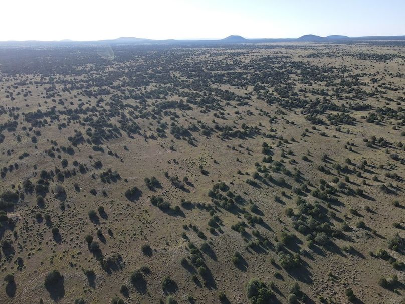 dji_fly_20240816_081016_526_1723817527590_photo