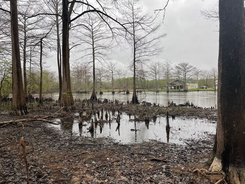 2FF56D27-430F-4A3B-93EF-D05BC2E2107B