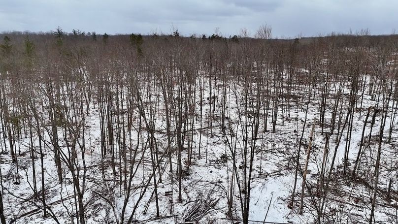 DJI_20260323113556_0306_D