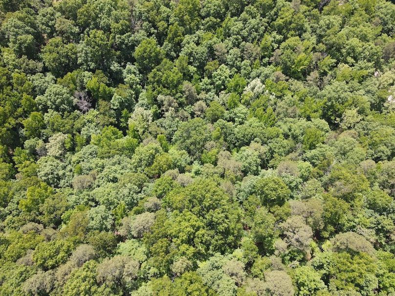 dji_fly_20260514_121402_807_1778778888485_photo