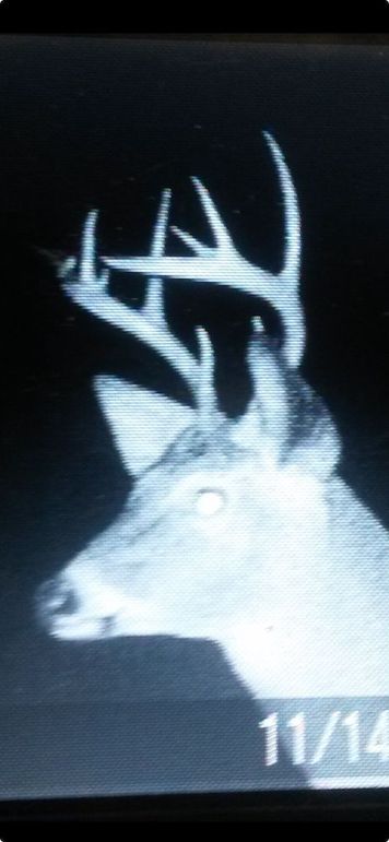 Screenshot 2025-09-24 at 11.47.11 AM