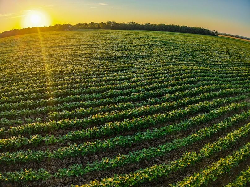 DJI_20250816071143_0740_D