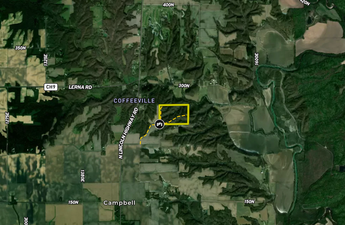 Screenshot 2025-06-09 at 12.07.55 PM