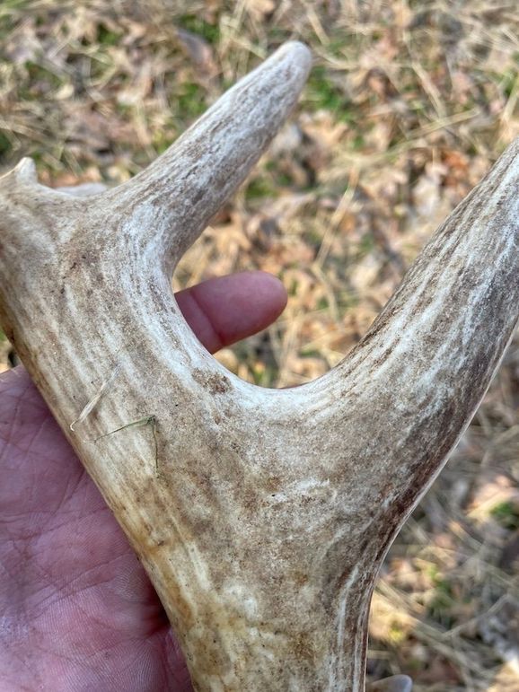 73032998860__46D3C22F-22F8-4B87-9074-27DAC38518D9