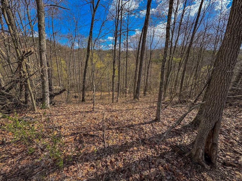 Wirt, WV 156.941 AC Full-20
