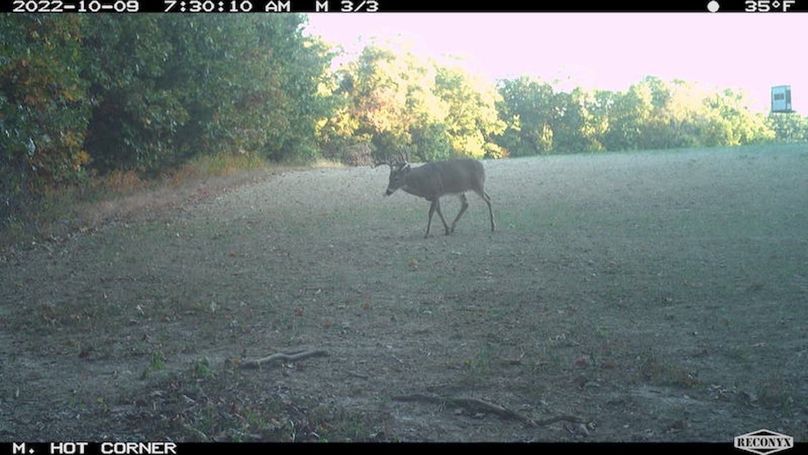 IMG_8605 short g2 10