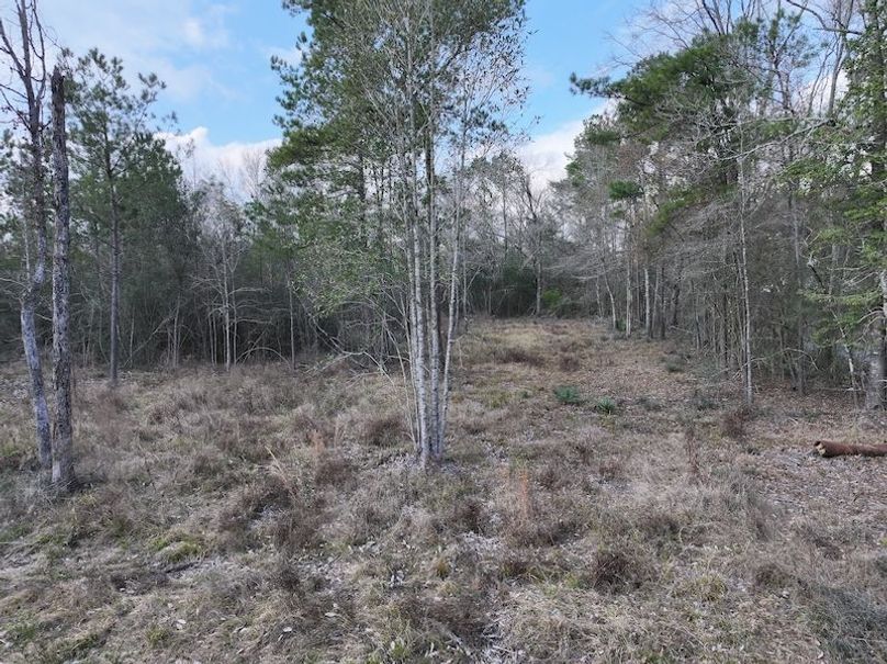 dji_fly_20260212_140800_0057_1771284243084_photo