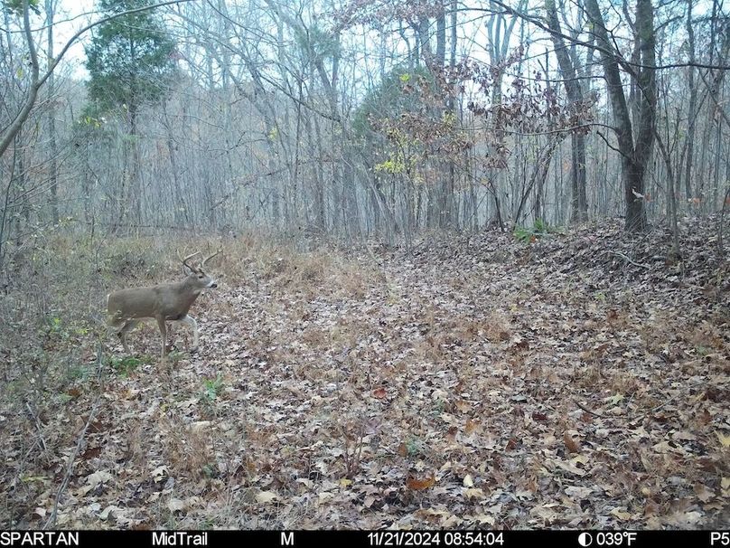 trail cam9