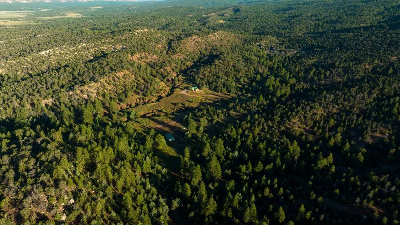 Cibola NM 13,053-0496