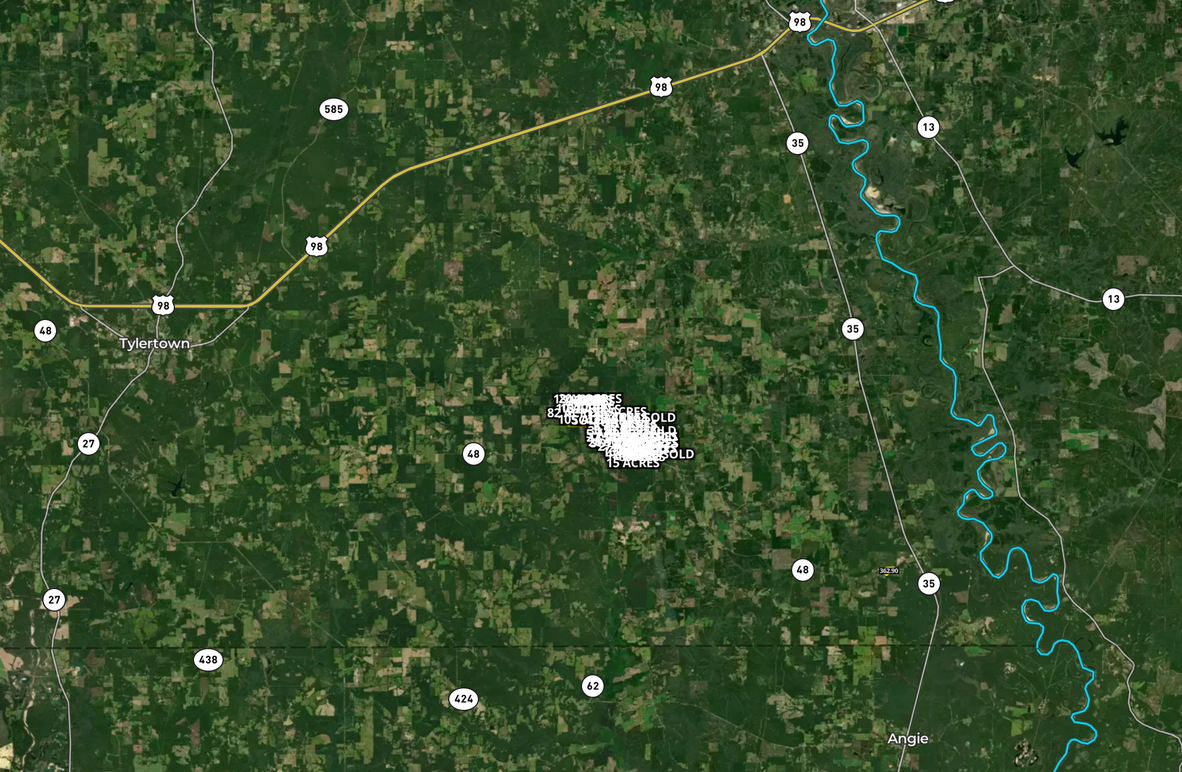 Screen Shot 2023-08-04 at 10.19.59 PM copy 5