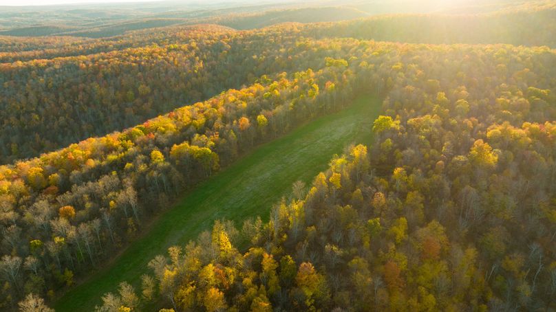 Elk PA 7000 Feature_Pro Photo-168