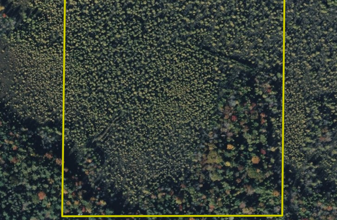 Screenshot 2025-09-26 at 3.14.51 PM