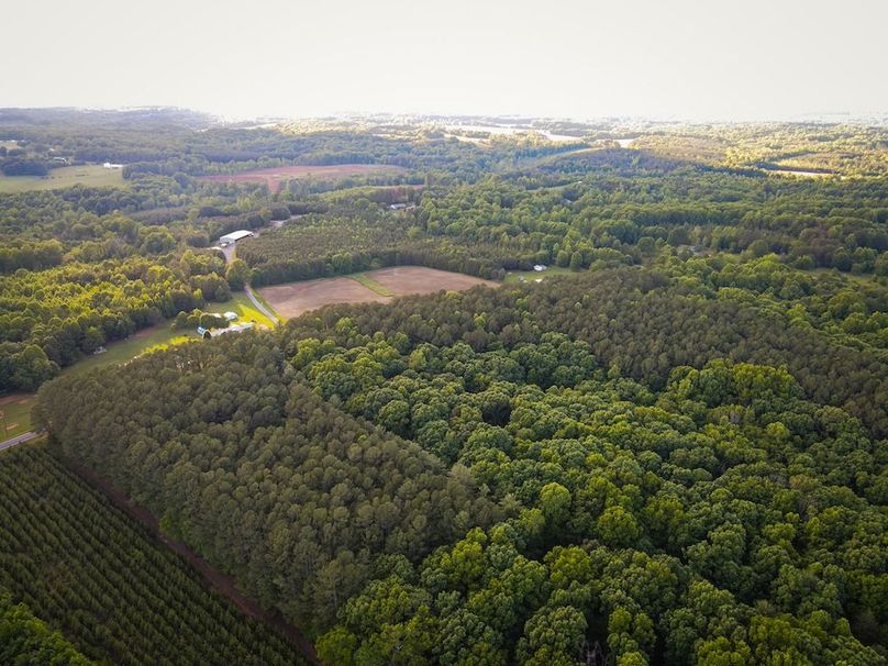 DJI_0541