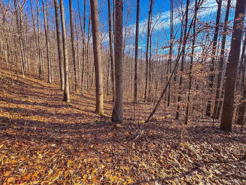 Lewis, WV 82.87 AC Barger-20