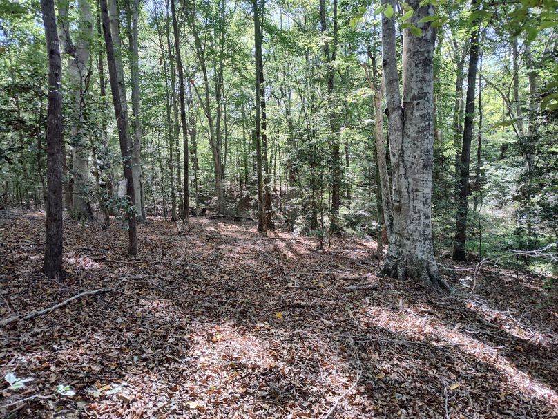 IMG_20231009_150414064_HDR