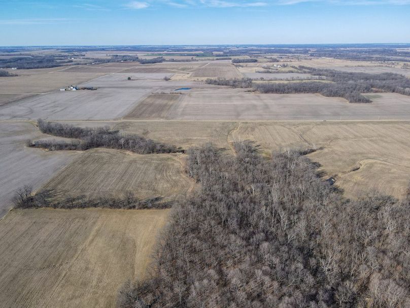 vandalia 450 (2)-2237