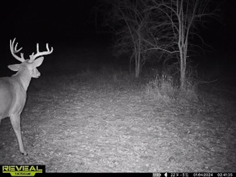 865509050418056-90-4-01042024024154-W1003929