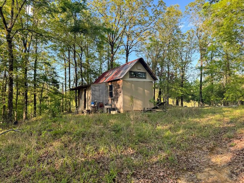 Tallahatchie 44 Newman (Crowden) Wide-38
