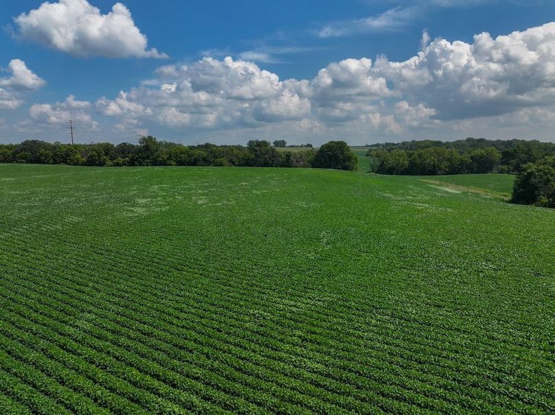 Olmsted 42.63 New-08