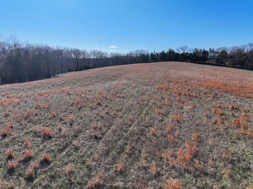 DJI_20260317093652_0987_D