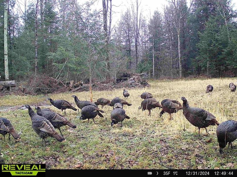 865814048724973-70-3-12312024124944-HD-W1011951