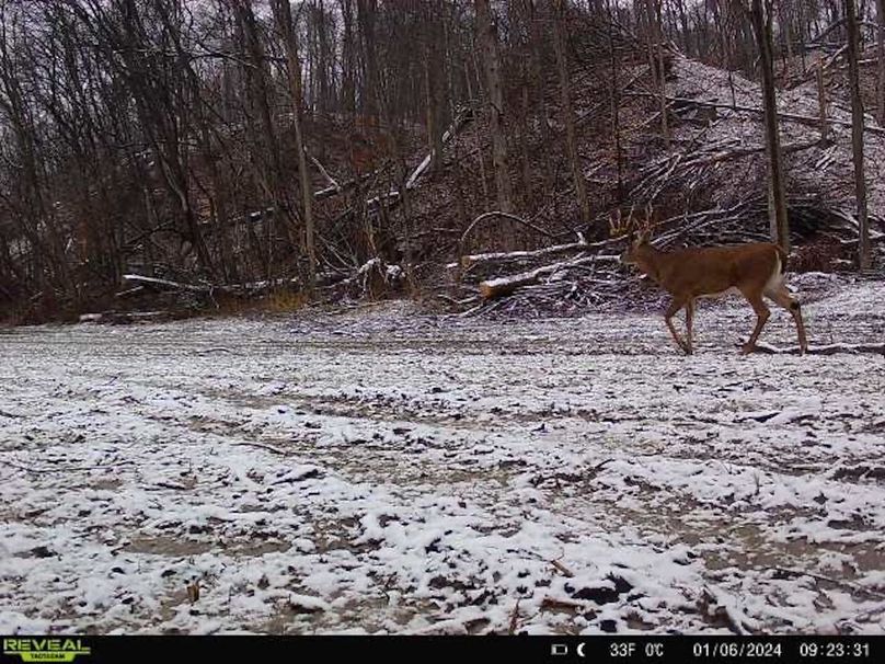 -2638331702652860417