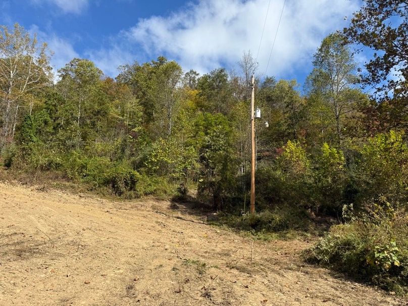 006 the power pole near the building area of the property