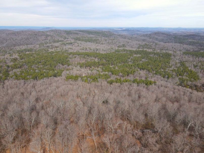 DJI_0669