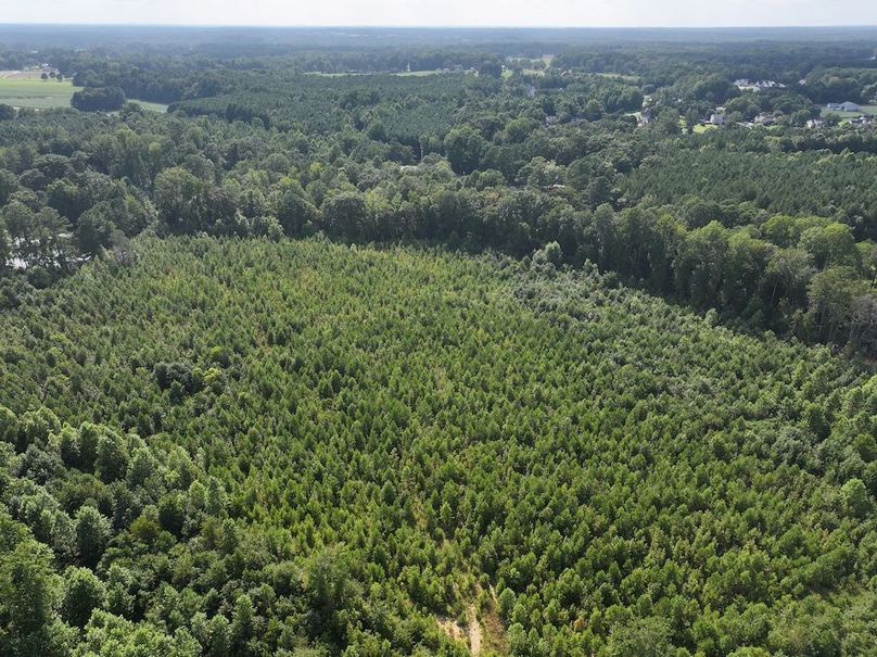 DJI_20250818160218_0111_D