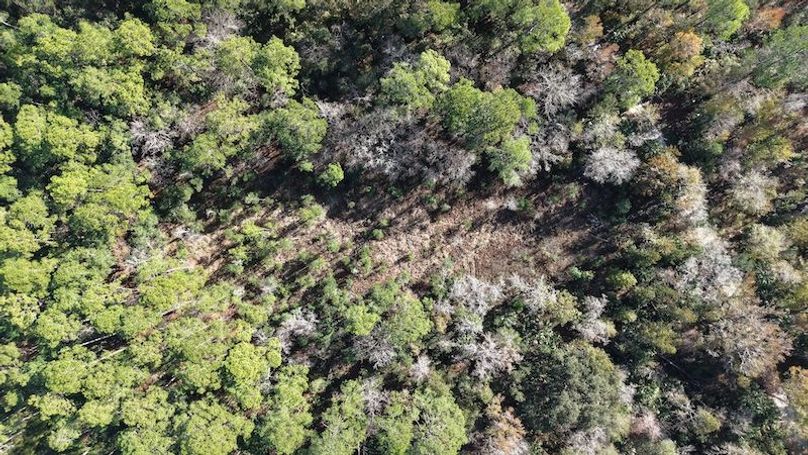 Copy of This is one is Lot A