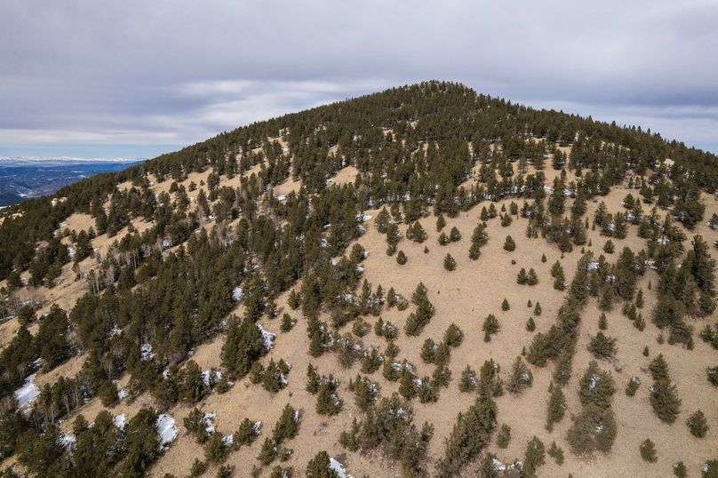 Teller Co 20.288 Bugbee - 025 Rhyolite Mountain