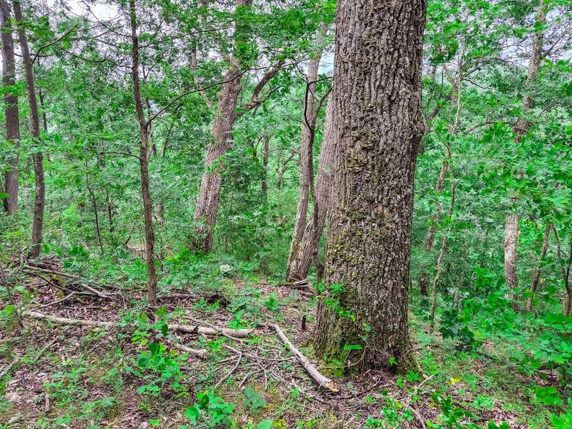 Wirt, WV 137.45 AC Full-26