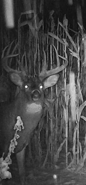 Screenshot_20230121_193953_Gallery