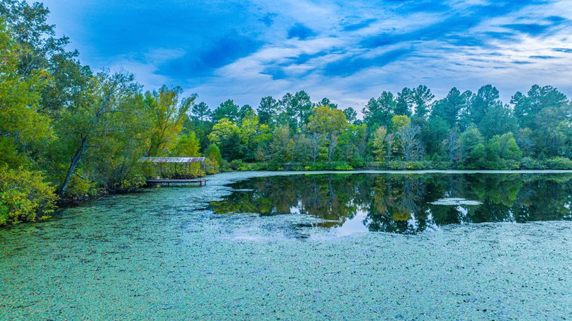 23 Upshur Co 603 ac Weise