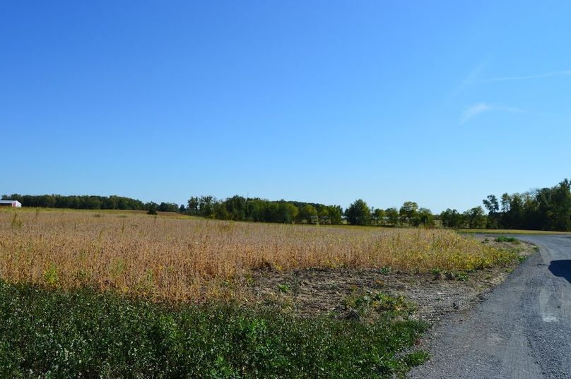 looking south on drive